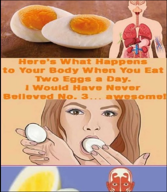 What Are the Effects of Eating Two Eggs Daily?